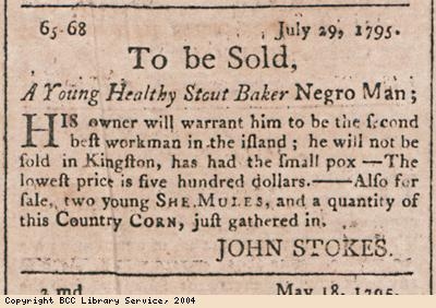 Advert for sale of healthy young slave man