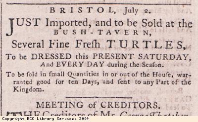 Advert for sale of turtles