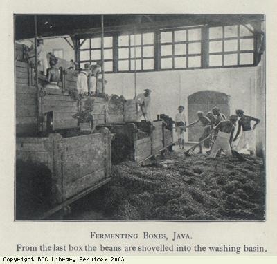 Fermenting Boxes, Java