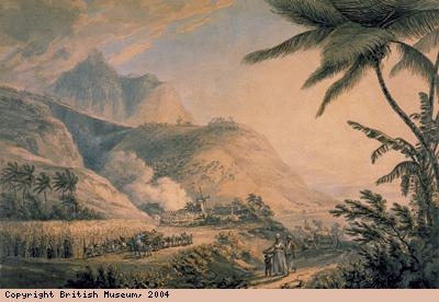 A Scene In the West Indies
