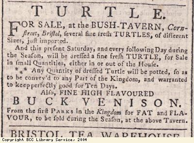Advert for turtle