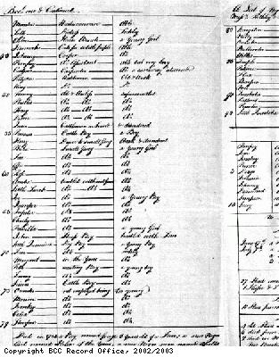 List of slaves on Spring Plantation
