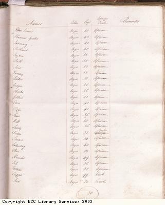 Page 20, Slave list, Chepstow Estate, Jamaica