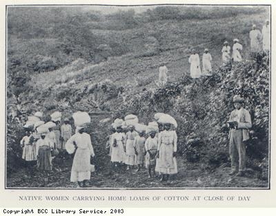 Women carrying cotton home