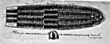 An engraving of slaves packed into the hold of a ship